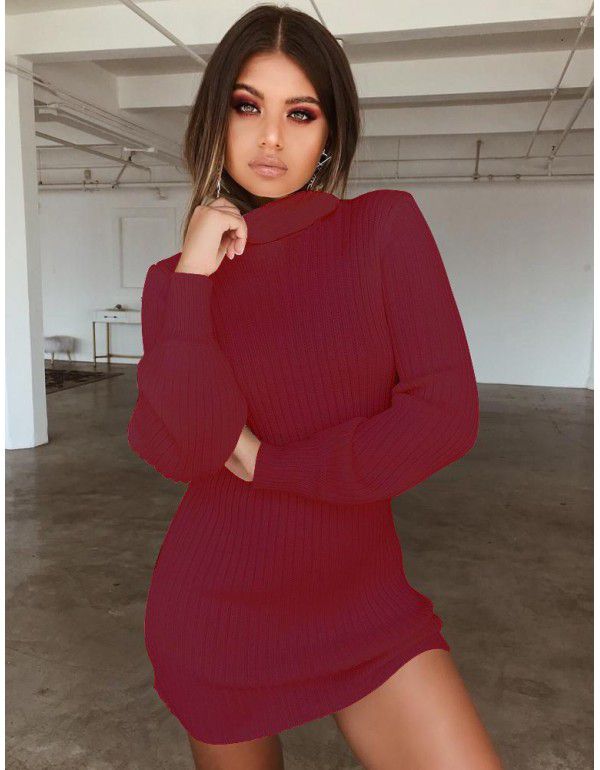 Dress Sexy High Neck Slim Fit Long Sleeve Dress