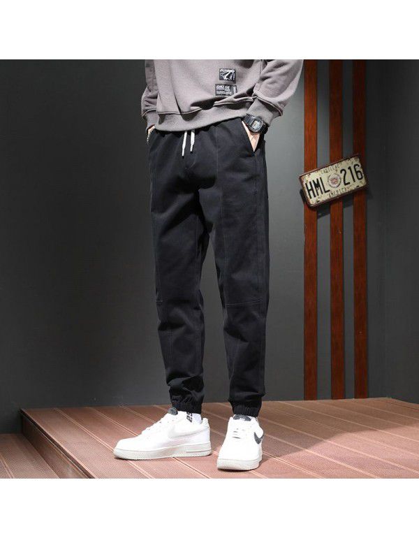 Mink cashmere cotton Harun pants warm sports casual pants men's autumn and winter pants loose tapered nine-point leggings 