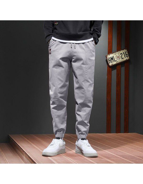 Mink cashmere cotton Harun pants warm sports casual pants men's autumn and winter pants loose tapered nine-point leggings 